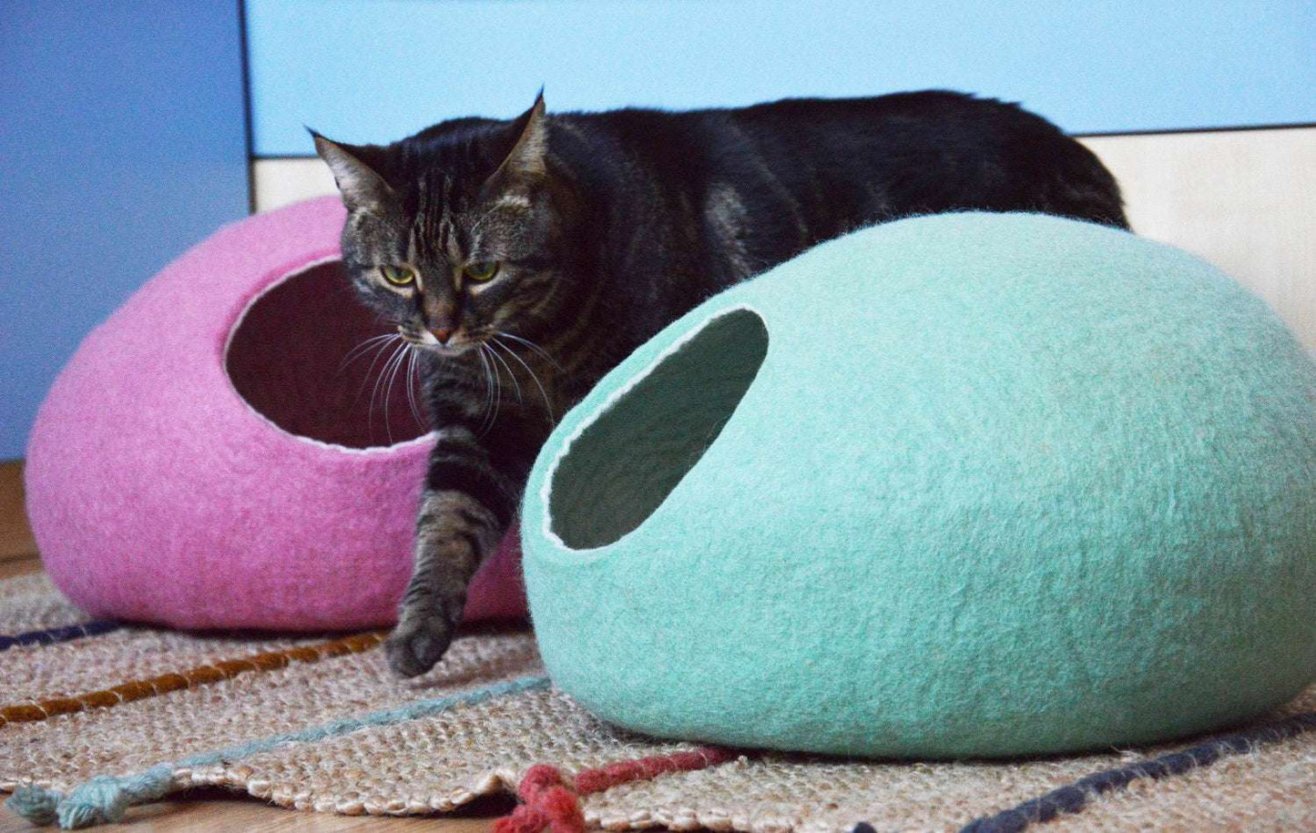Mint Cat Bed - Refreshing Pet Cave - Home Soul