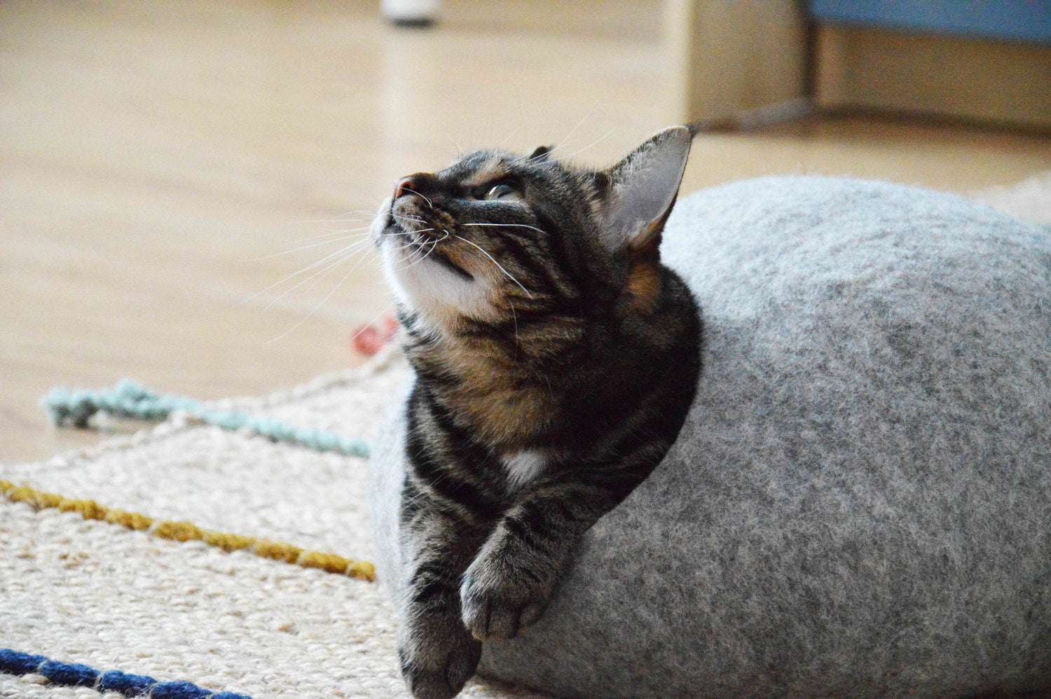 Custom Color Pet Bed - Cat Cave & Puppy Bed - Home Soul