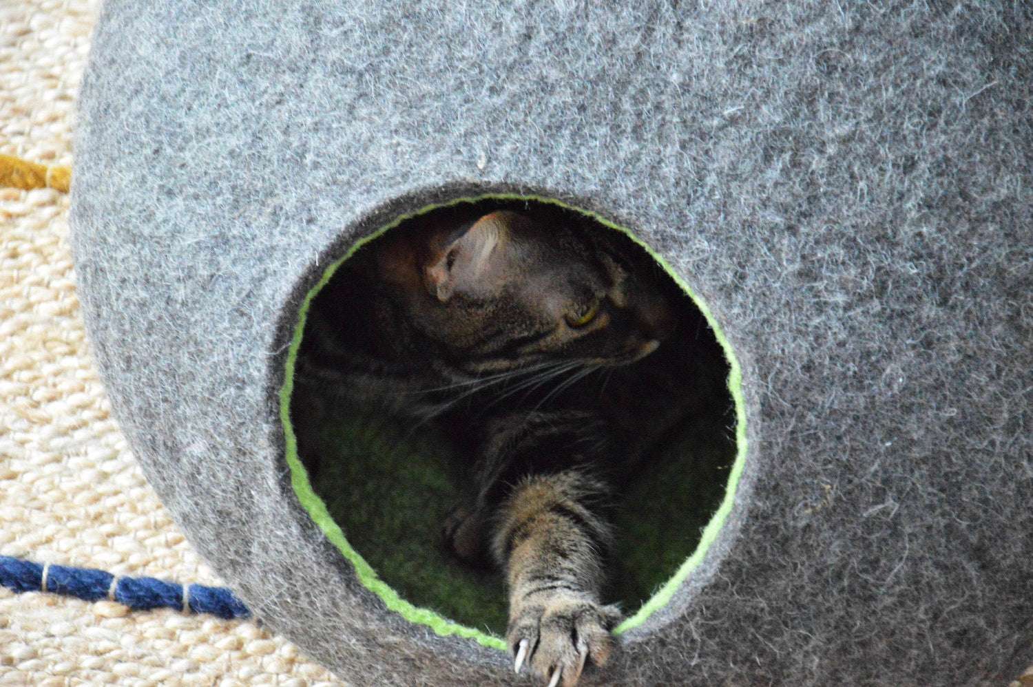 Premium Pet Furniture - Custom Color Cat Bed - Home Soul