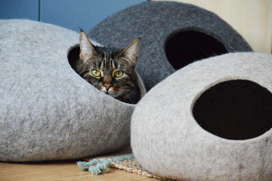 Natural Wool Pet Bed - Modern Cat Cave - Home Soul