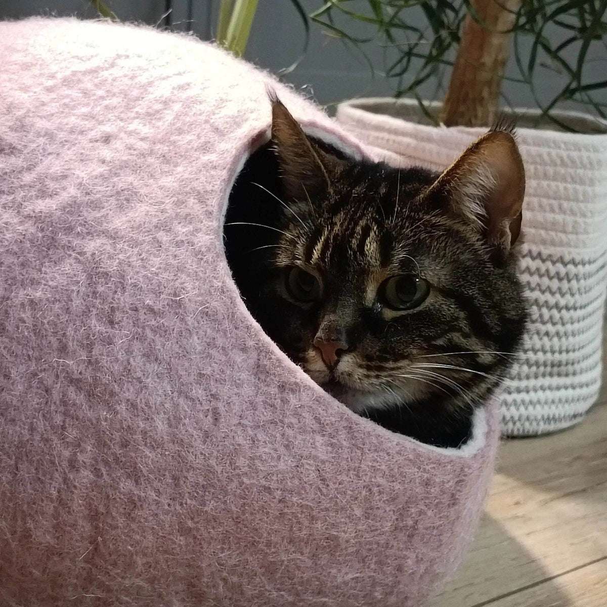 Baby Pink Cat Bed - Eco-Friendly Pet Cave - Home Soul
