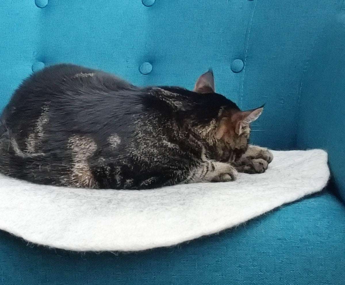 Ombre Pet Mat - Gradient Sleeping Pad - Home Soul