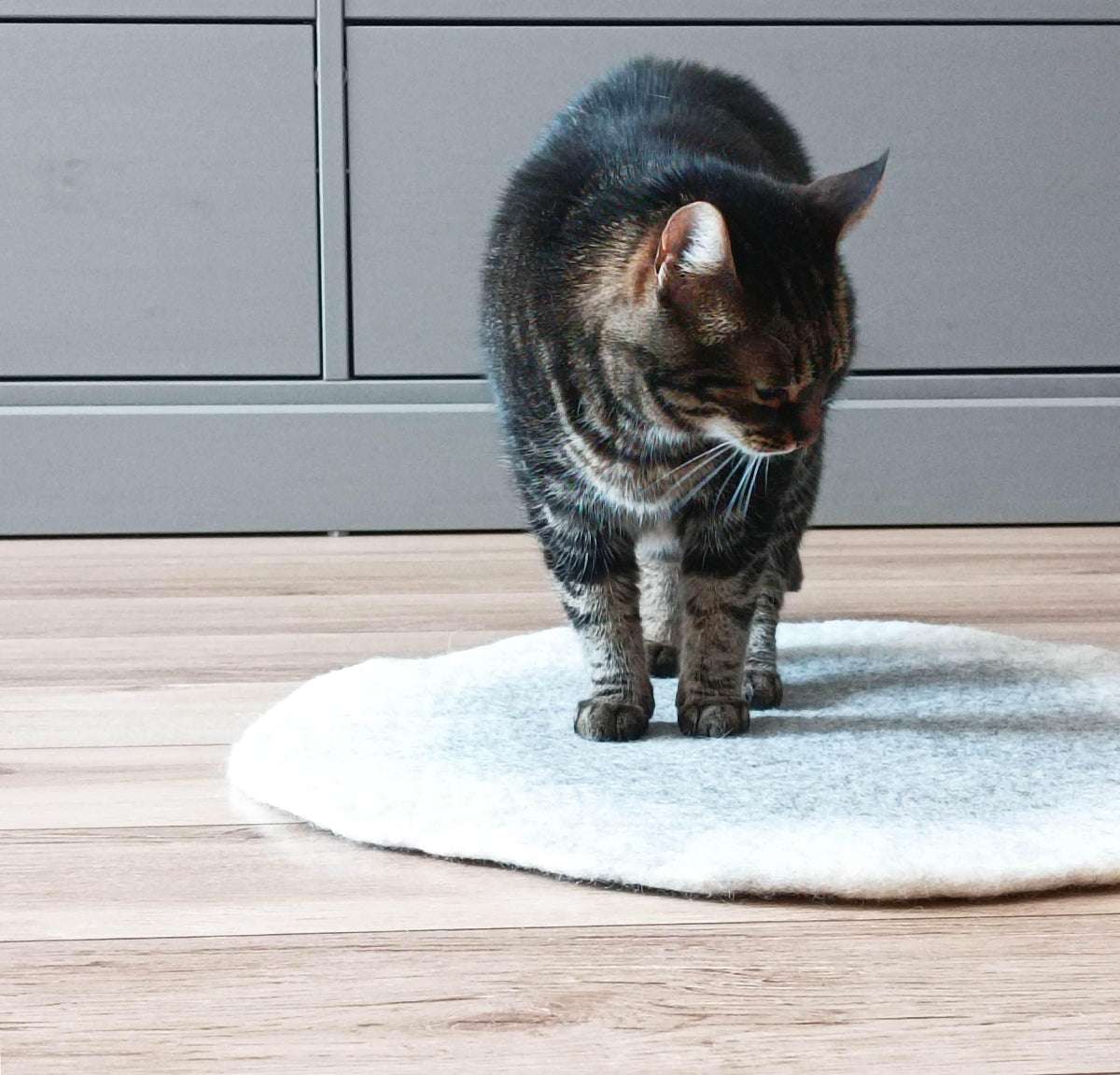 Ombre Pet Mat - Gradient Sleeping Pad - Home Soul