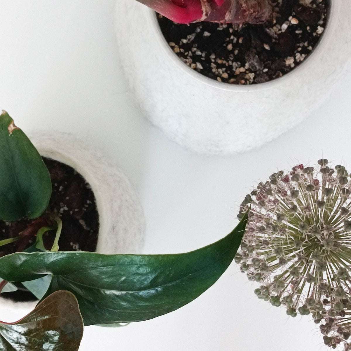 Felted Flower Planter - Scandinavian Design Pot - Home Soul