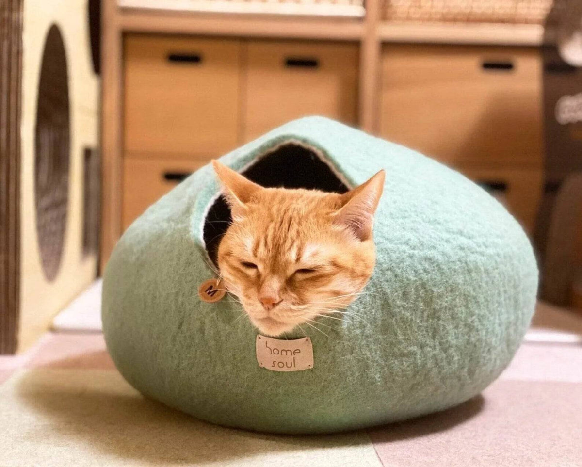 Mint Cat Cave - Eco-Friendly Pet Bed - Home Soul