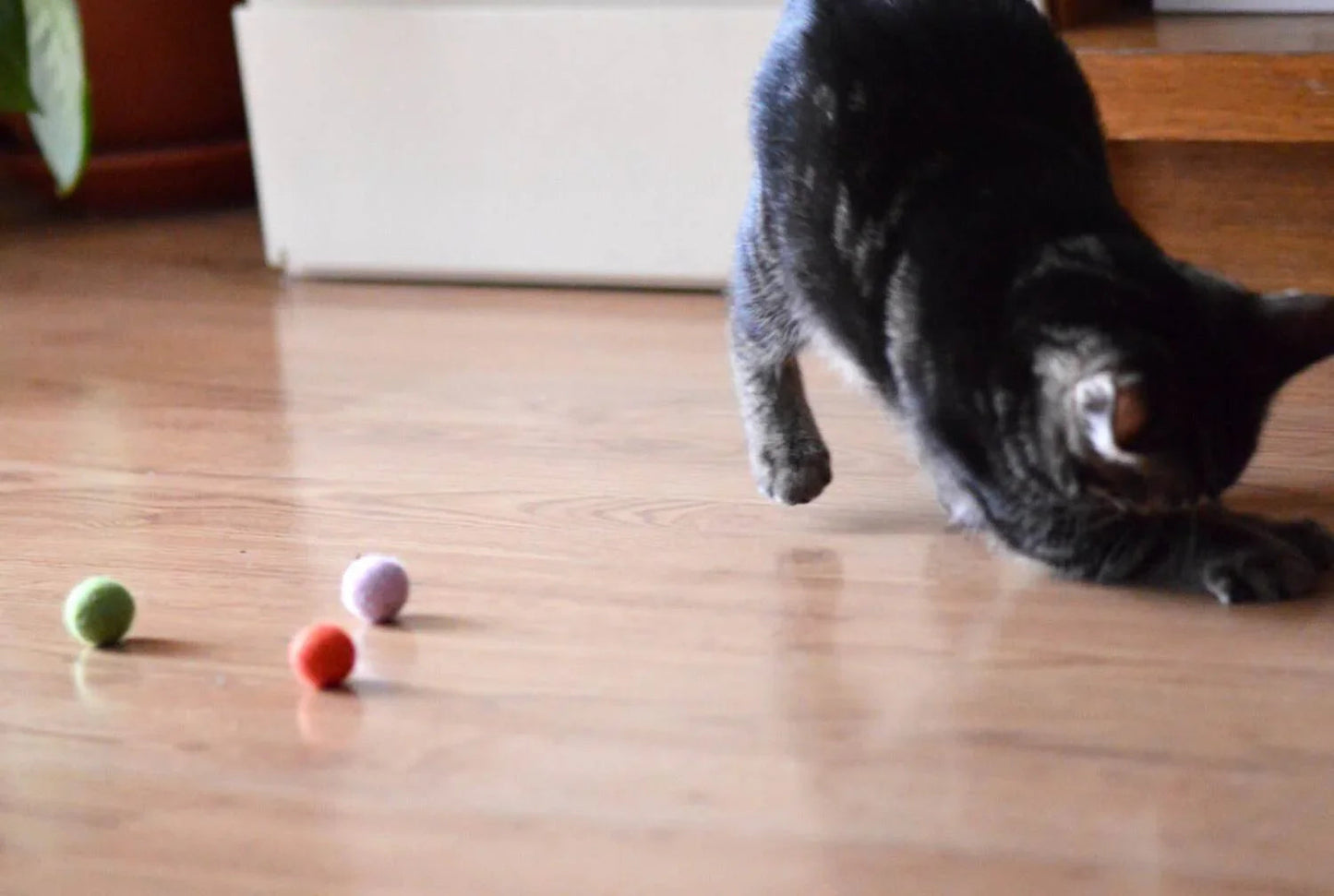 Colorful Cat Toys Set - 5 Vibrant Balls - Home Soul