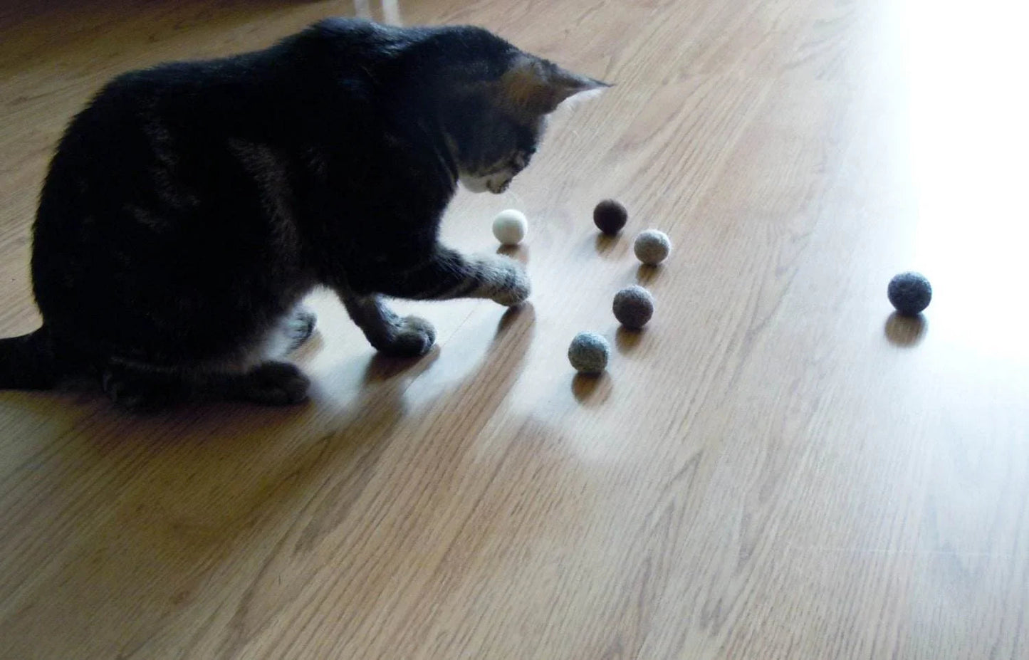 Natural Cat Toys Set - 5 Eco-Friendly Balls - Home Soul