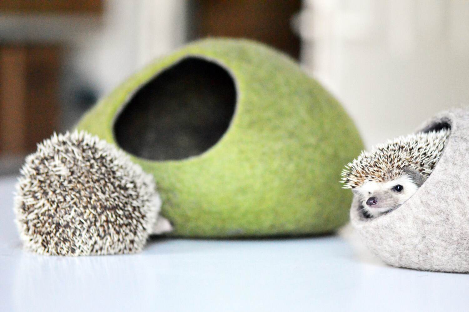 Premium Hedgehog Bed - Deluxe Pet House - Home Soul